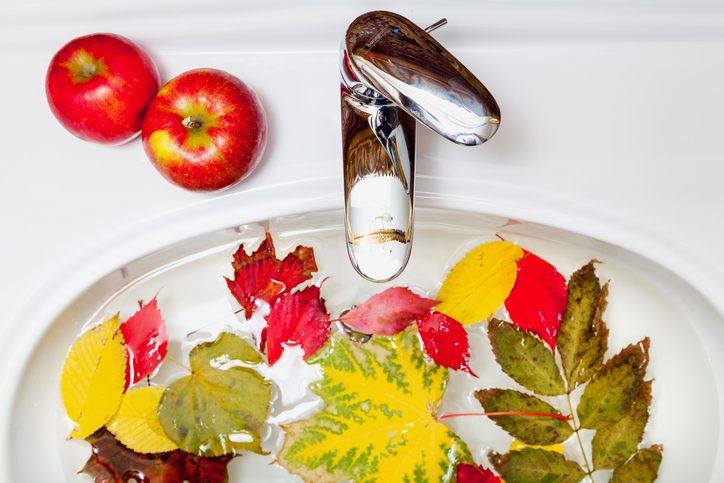 Pinckney Well Drilling & Geothermal | Coastal areas of SC and GA | stylish oval sink with bright leaves